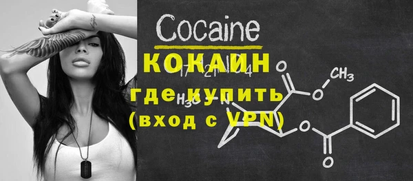 дживик Верхний Тагил
