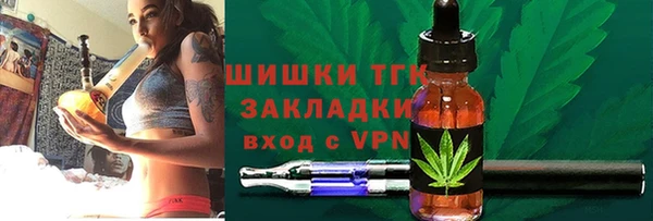 дживик Верхний Тагил