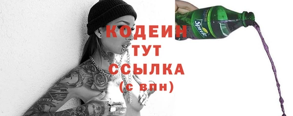 индика Богородск