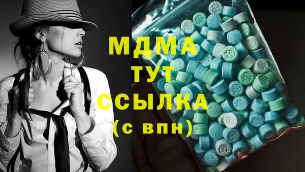индика Богородск