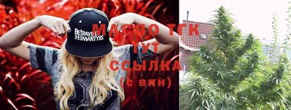 индика Богородск