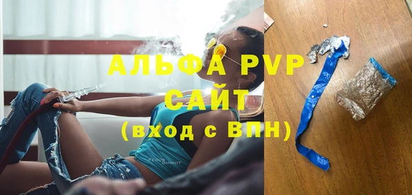 ПСИЛОЦИБИНОВЫЕ ГРИБЫ Богданович