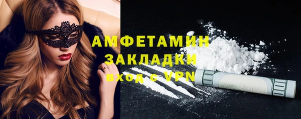 индика Богородск
