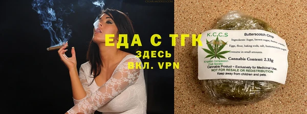 дживик Верхний Тагил