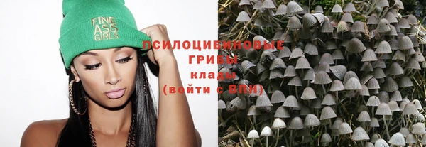 индика Богородск