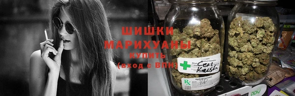 дживик Верхний Тагил