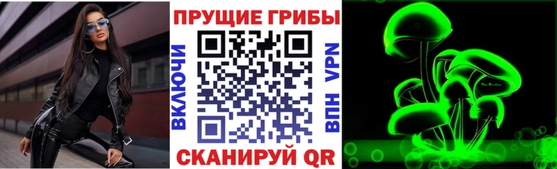 Галлюциногенные грибы Psilocybe  магазин продажи наркотиков  это Telegram  Видное  OMG маркетплейс 